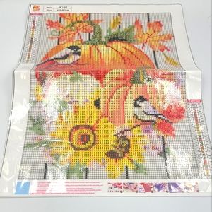 2/20 BN Pumpkin & birds diamond art 30 x 40 cm